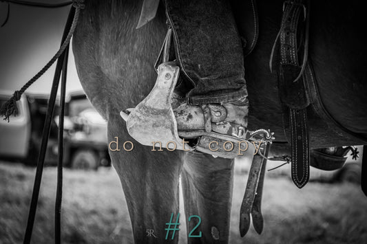 5R Media Photo Downloads