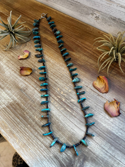 30 inch long shell and turquoise necklace