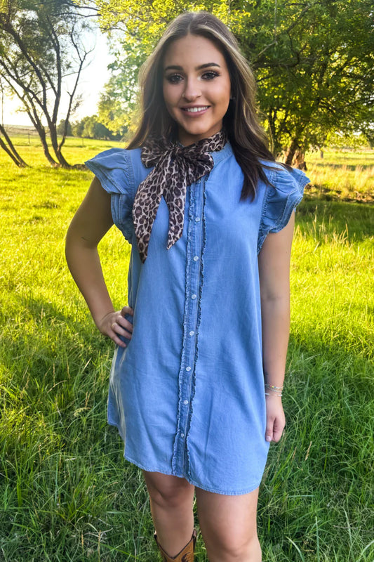 DENIM DAYS DRESS