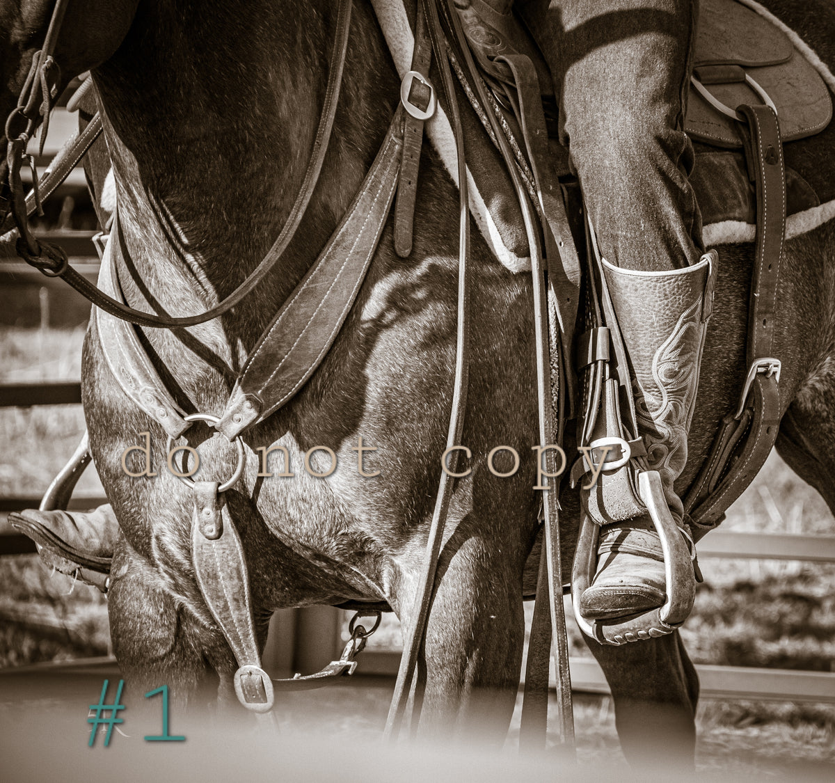5R Media Photo Downloads