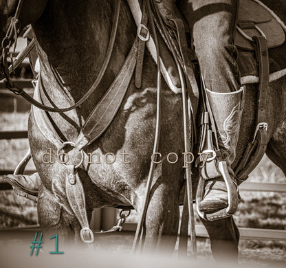 5R Media Photo Downloads