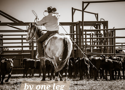 Ranchy Canvas Prints