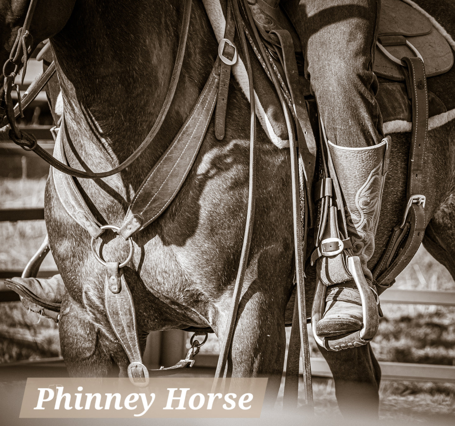 Ranchy Canvas Prints