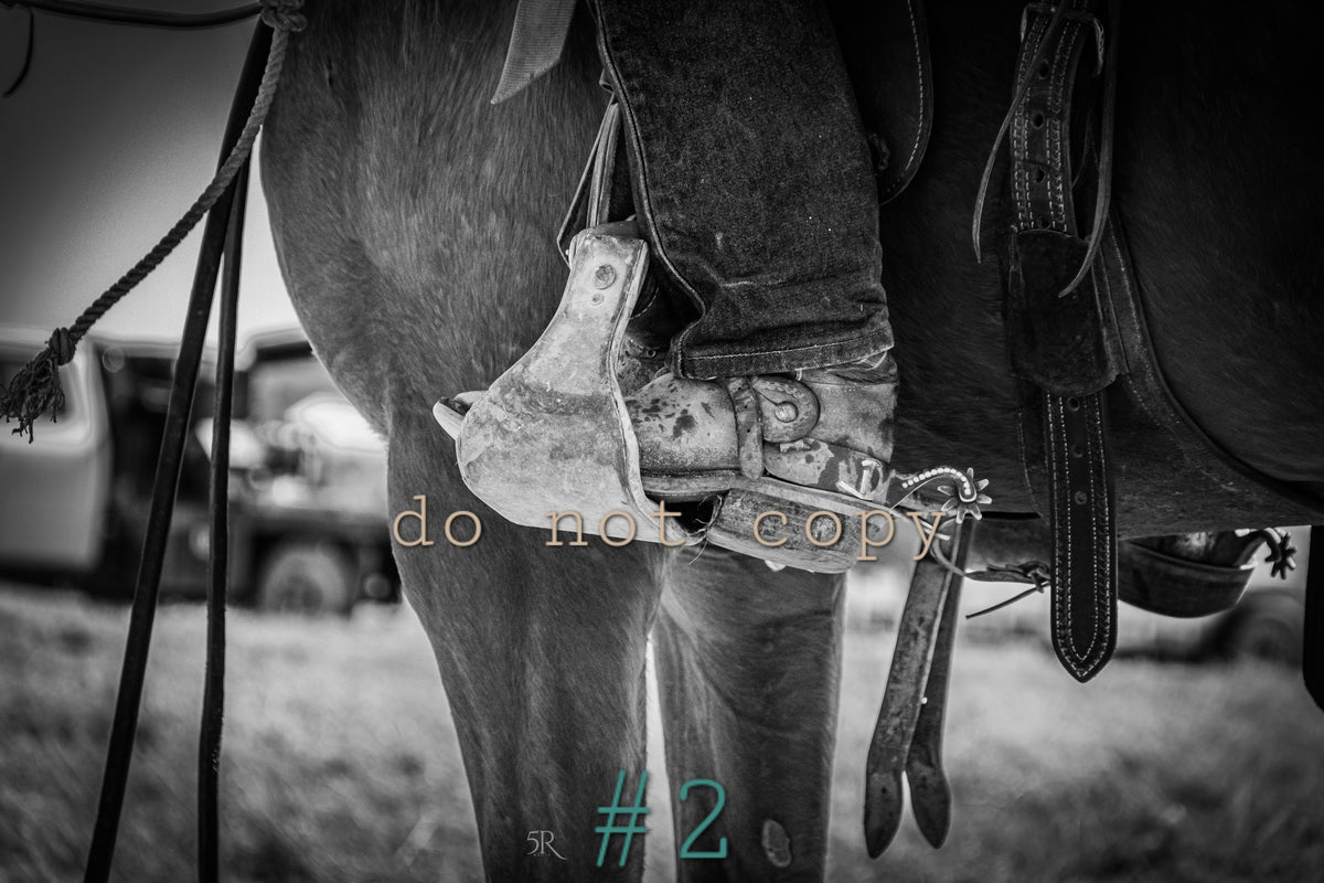 5R Media Photo Downloads