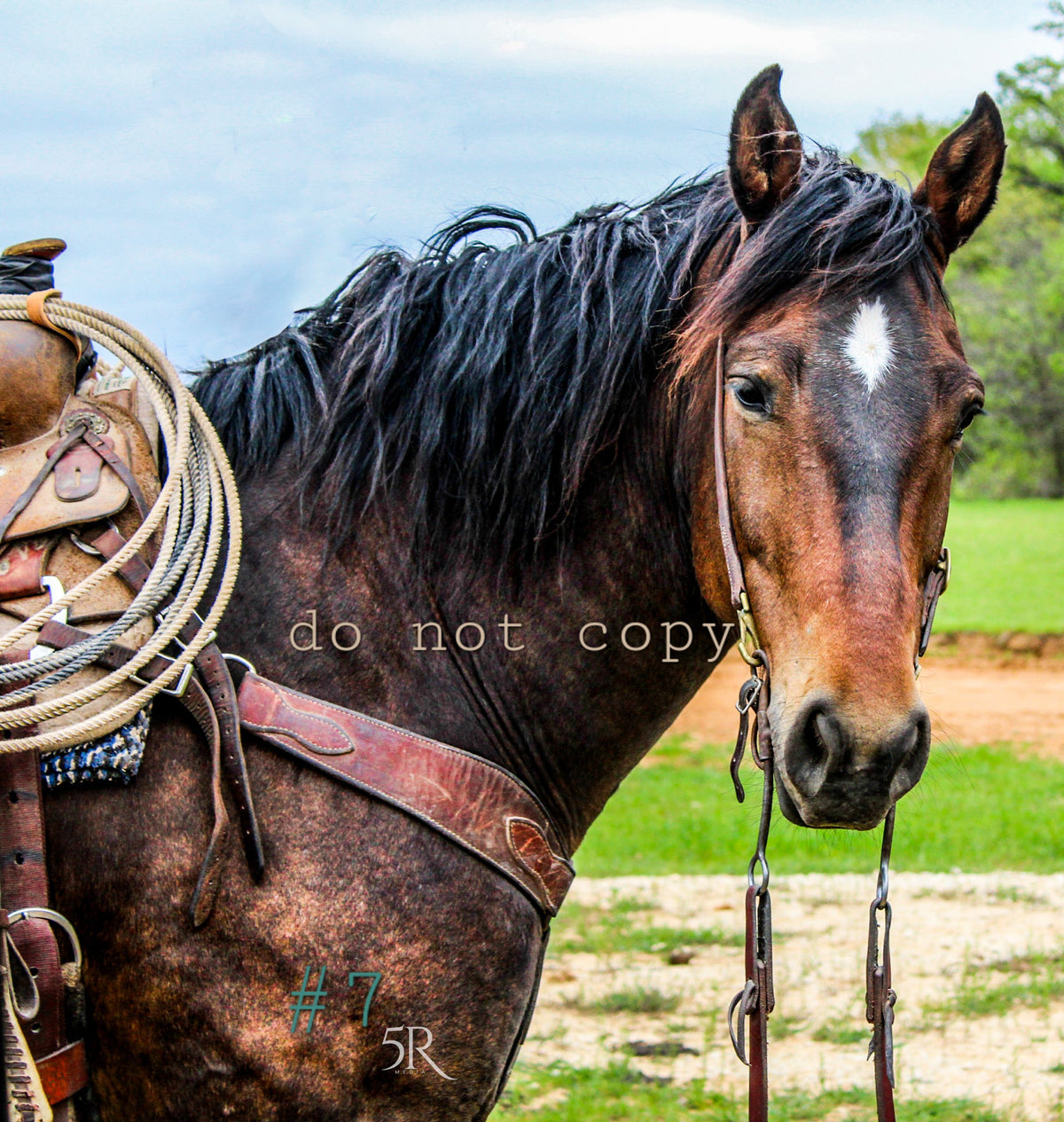 5R Media Photo Downloads