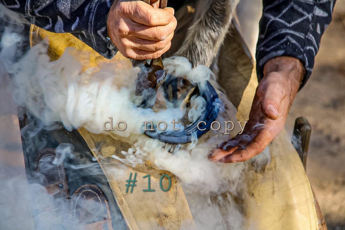 5R Media Photo Downloads
