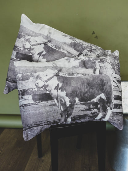Wild Western Pillow Shams
