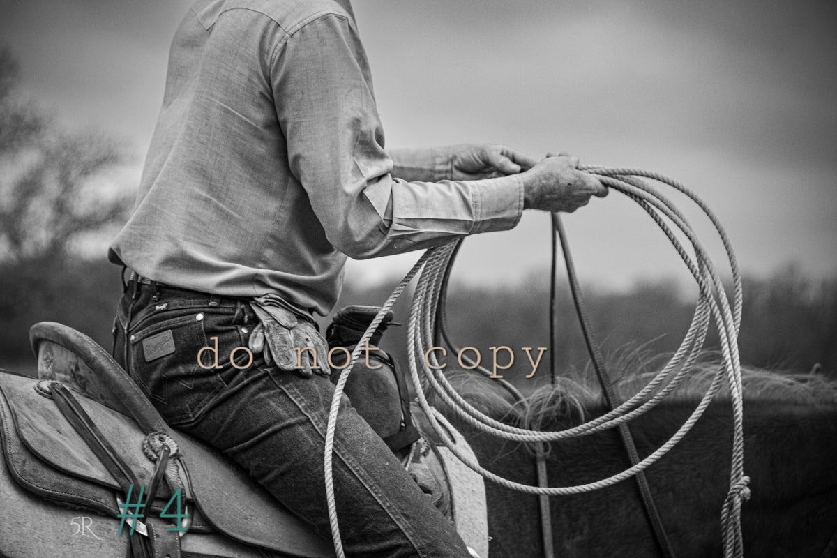 5R Media Photo Downloads